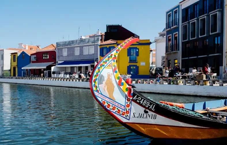 Traditional moliceiro boats